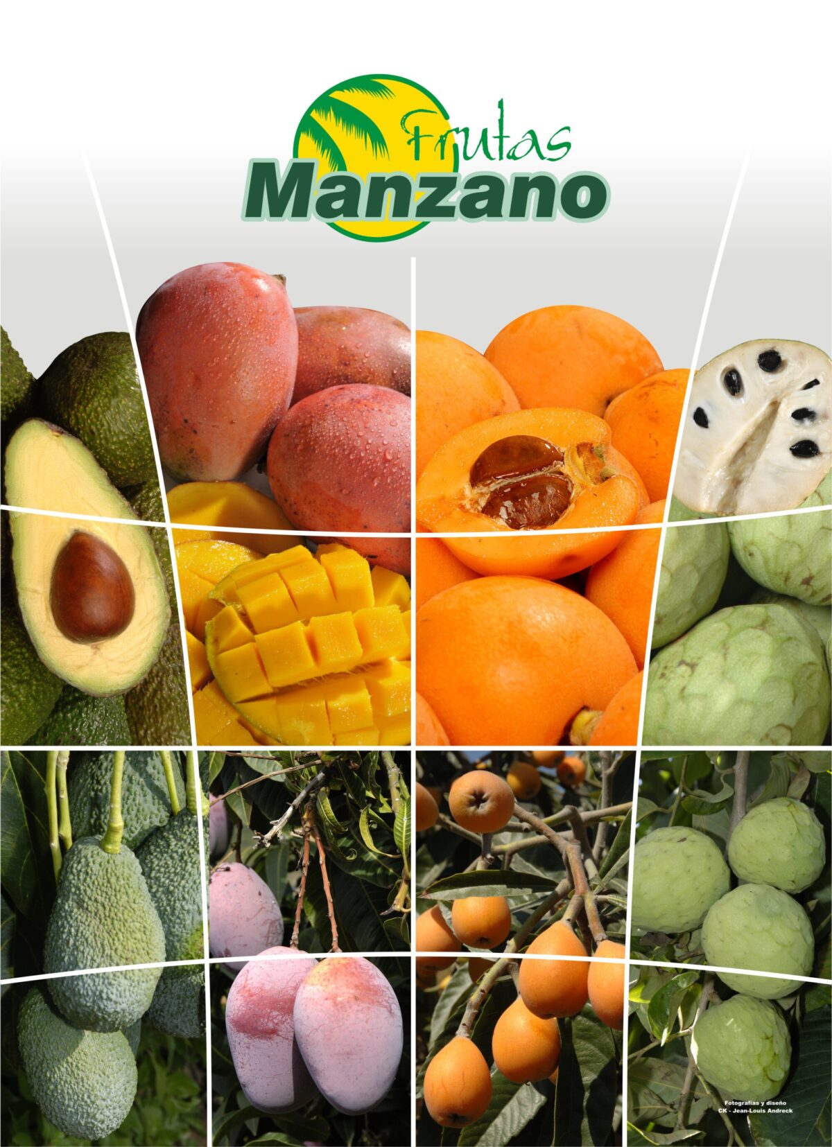 Cartel de Frutas Manzano con un mosaico de imágenes que muestra distintas frutas tropicales como mango, aguacate, níspero y chirimoya, tanto partidas como en el árbol, acompañado del logotipo de la marca.